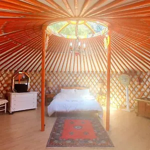 https://eldorado-yurt.1costadelsol.com